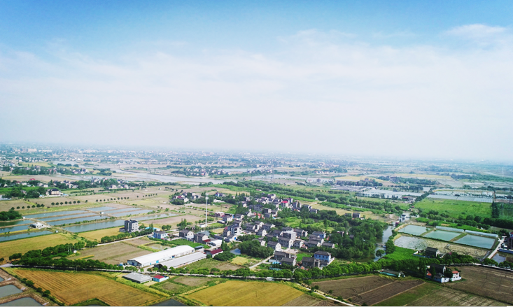 项目展示|”十里梅花，乐享田园”—王店南梅村美丽乡村精品村景观设计