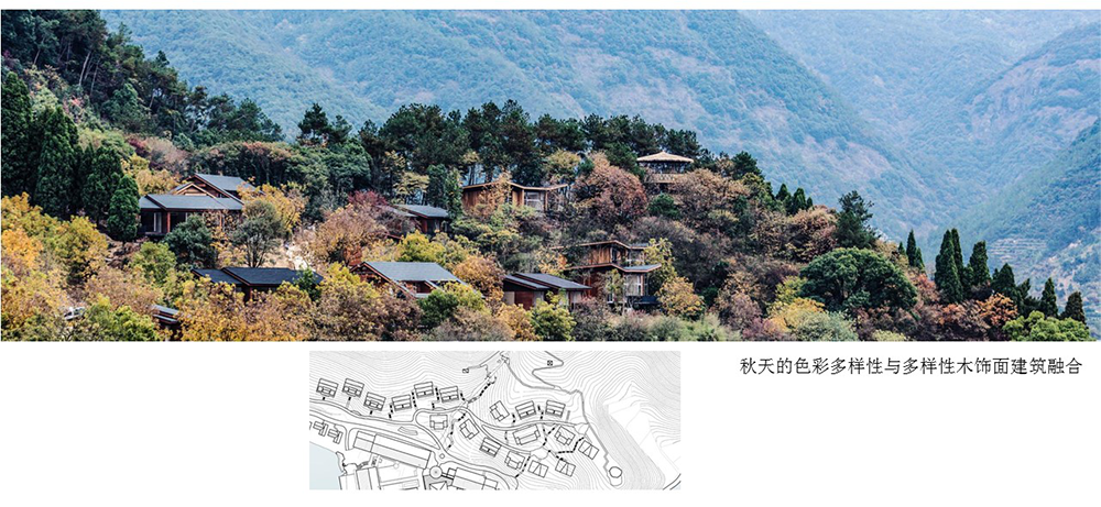 图片43.png