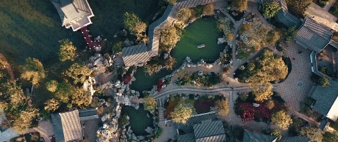 1621993065558586.jpg