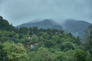 富春开元芳草地度假酒店