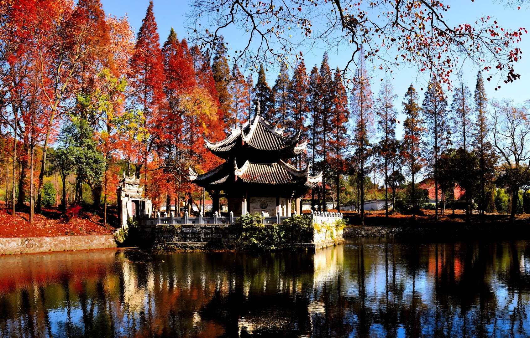 美院