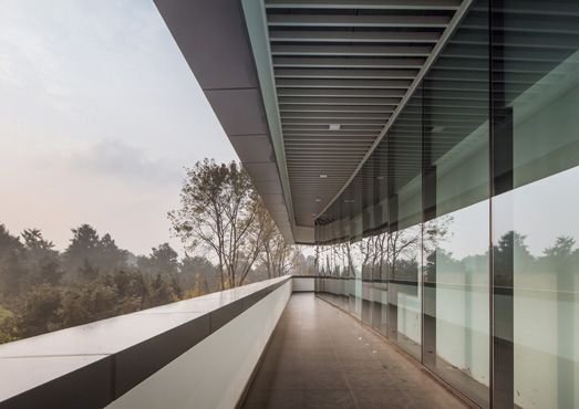 图 6