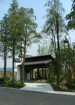 图 1