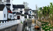 苏州柳舍美丽乡村建设工