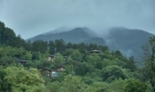 富春开元芳草地度假酒店
